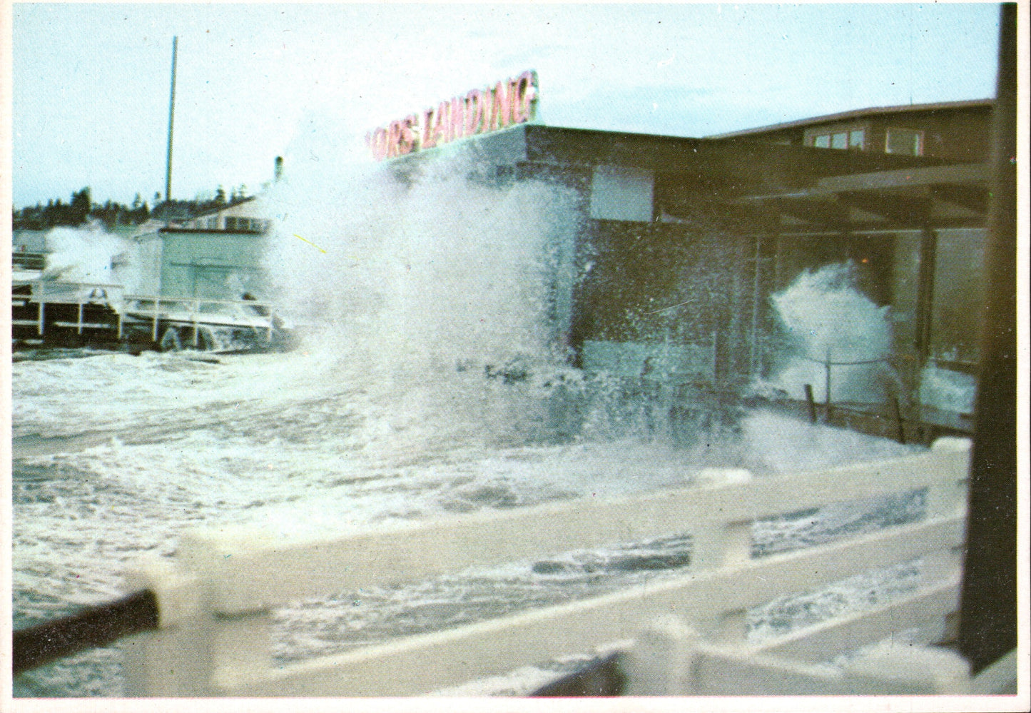 Snohomish County, WA (42 items)