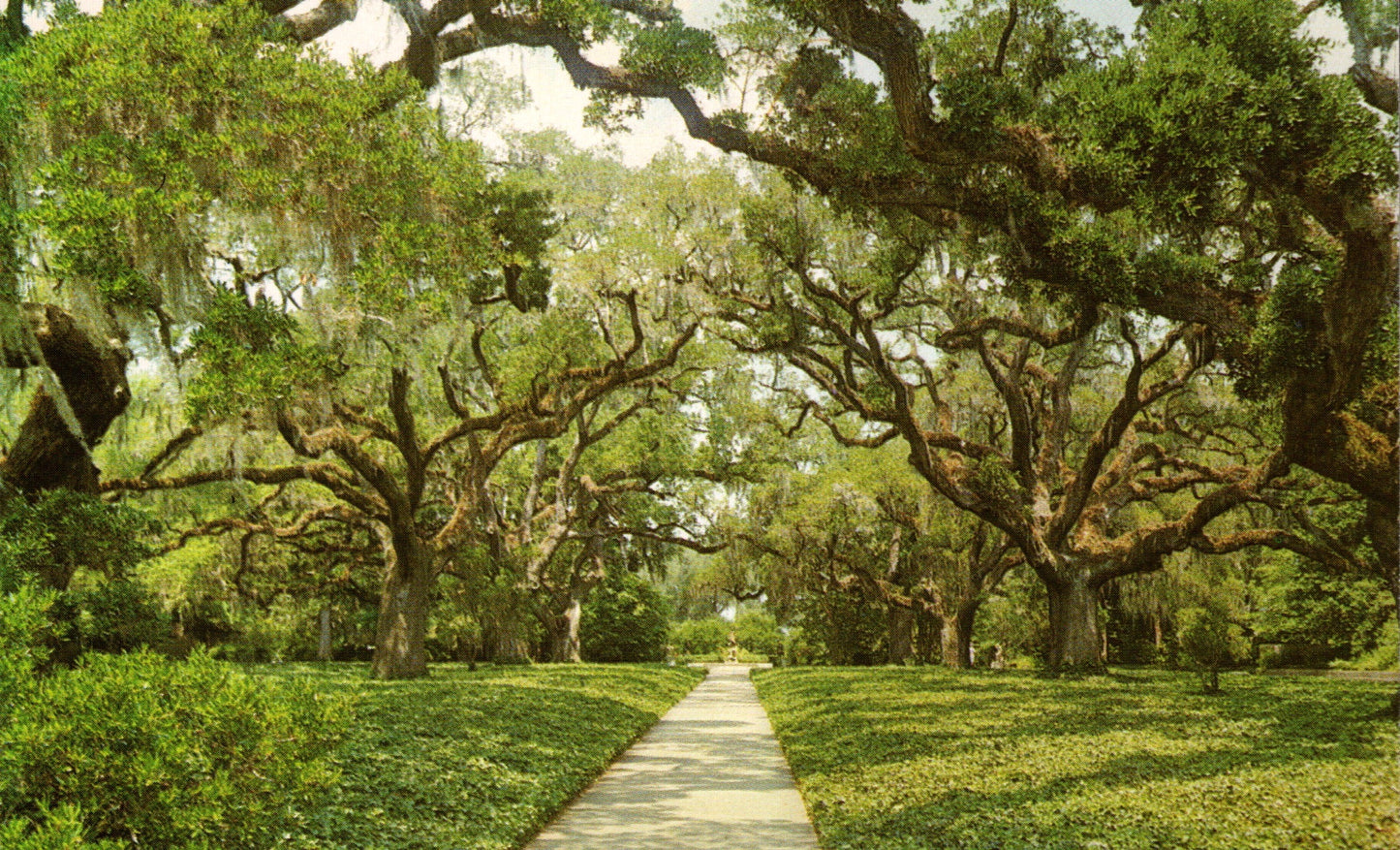 Horry County, SC (23 items)