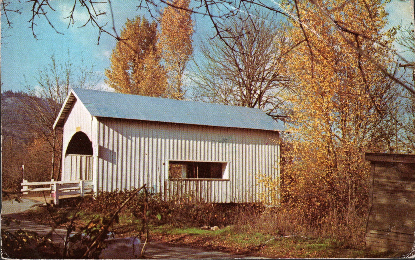 Douglas County, OR (86 items)