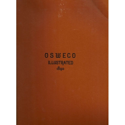 Oswego Illustrated 1890 by Olga Clark -book- (Oswego County, NY)