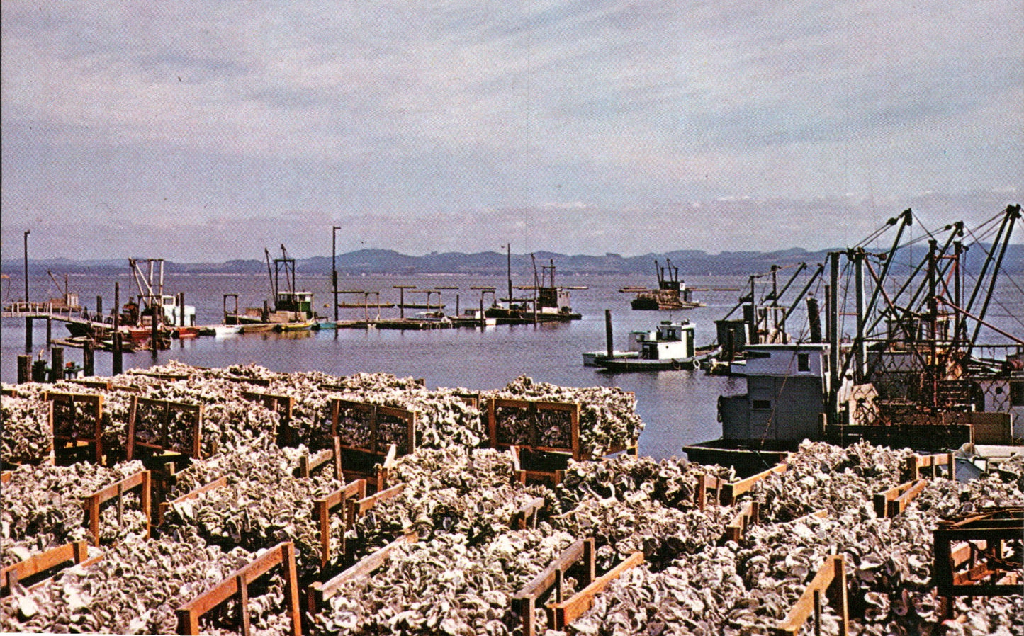 Pacific County, WA (52 items)