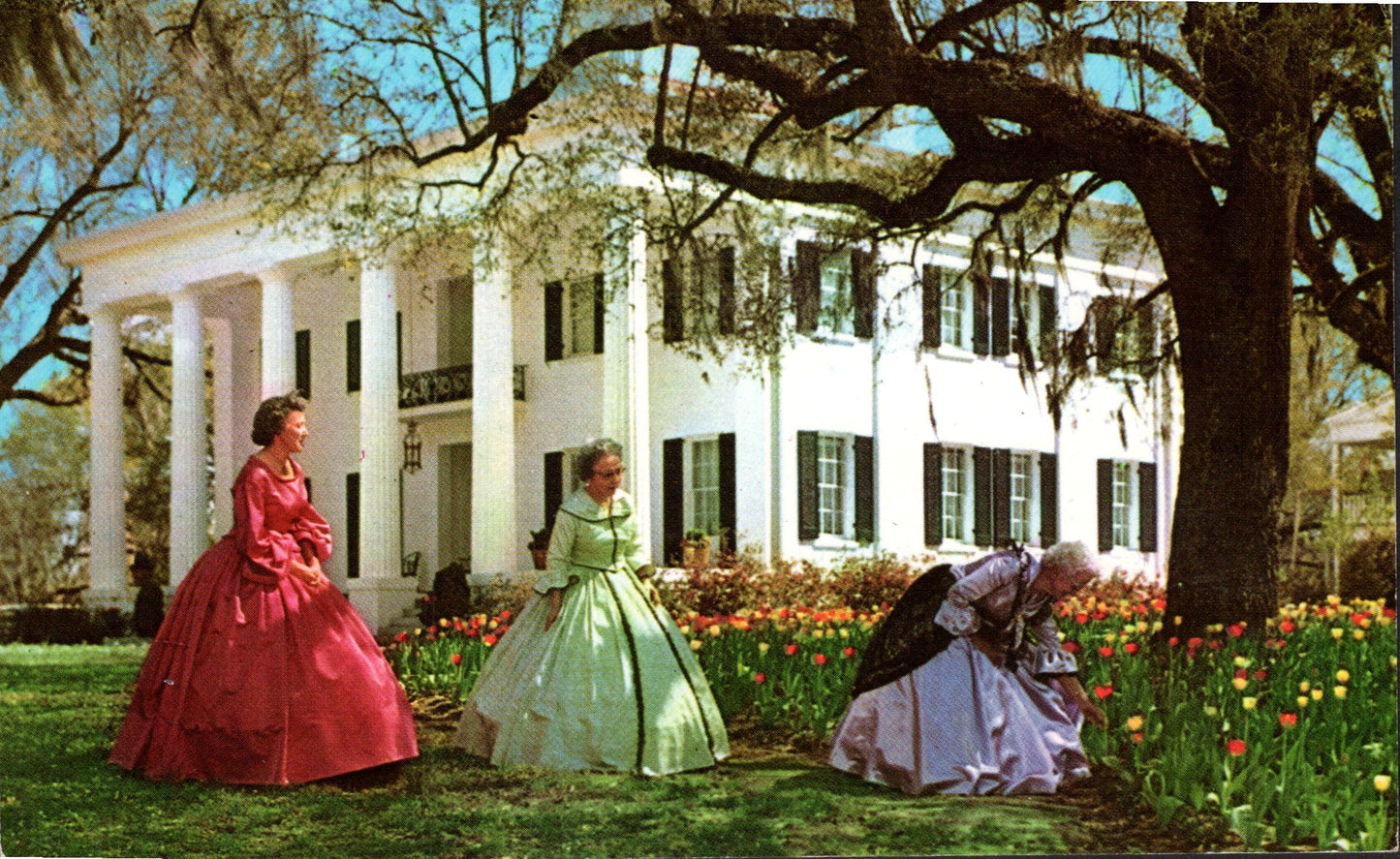 Adams County, MS (27 items)