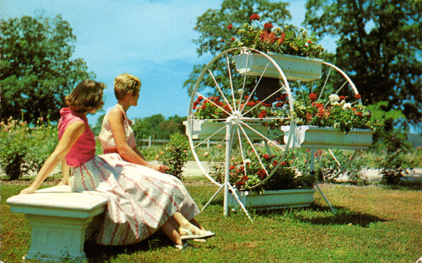 Newton County, MO (12 items)