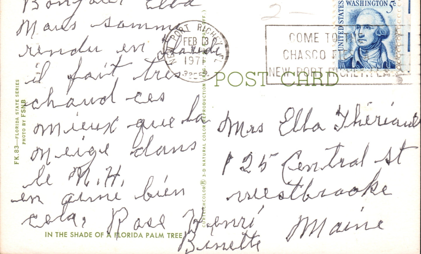 Pasco County, FL (13 items)