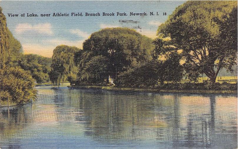 Essex County, NJ (44 items)