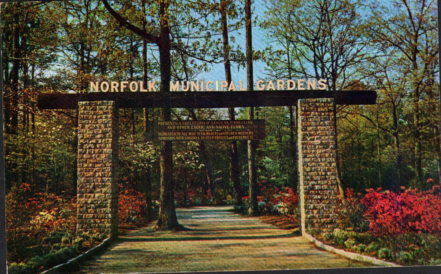 Norfolk County, VA (62 items)