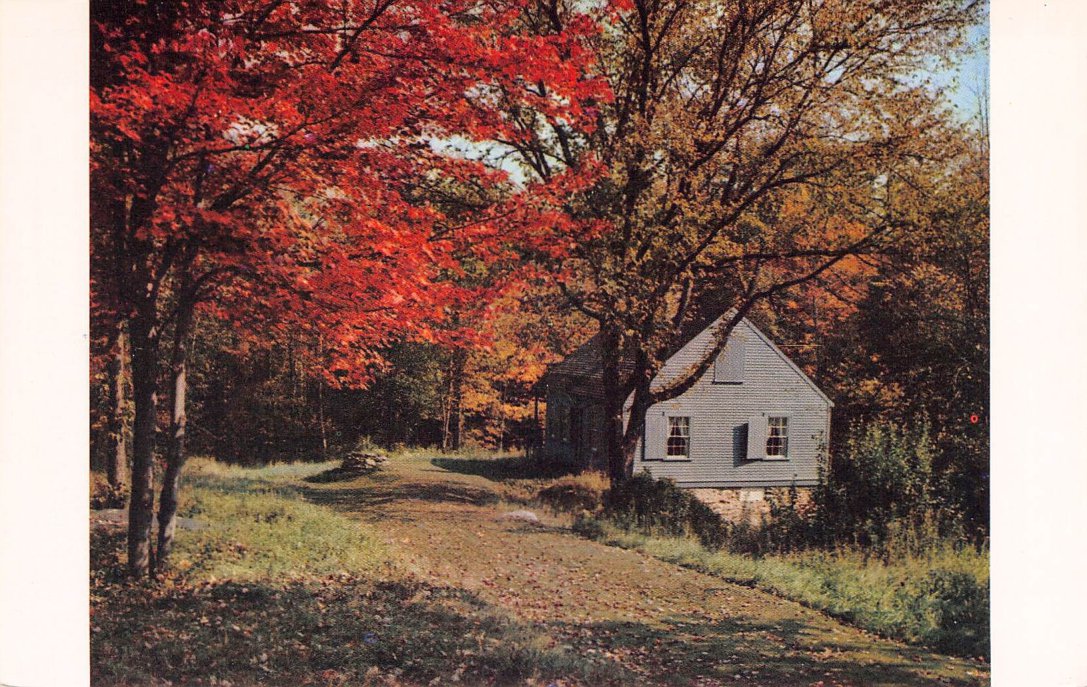 Grafton County, NH (64 items)