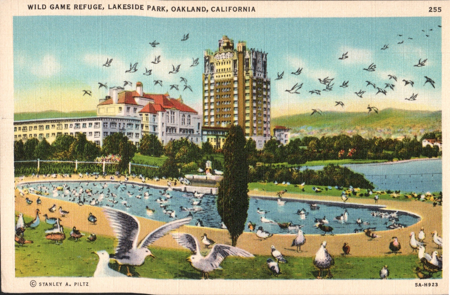 Alameda County, CA (99 items)