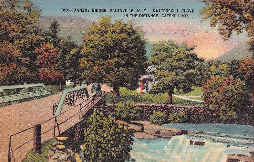 Greene County, NY (41 items)