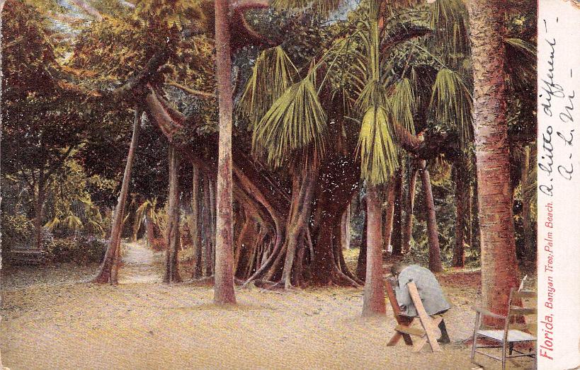 Palm Beach County, FL (57 items)