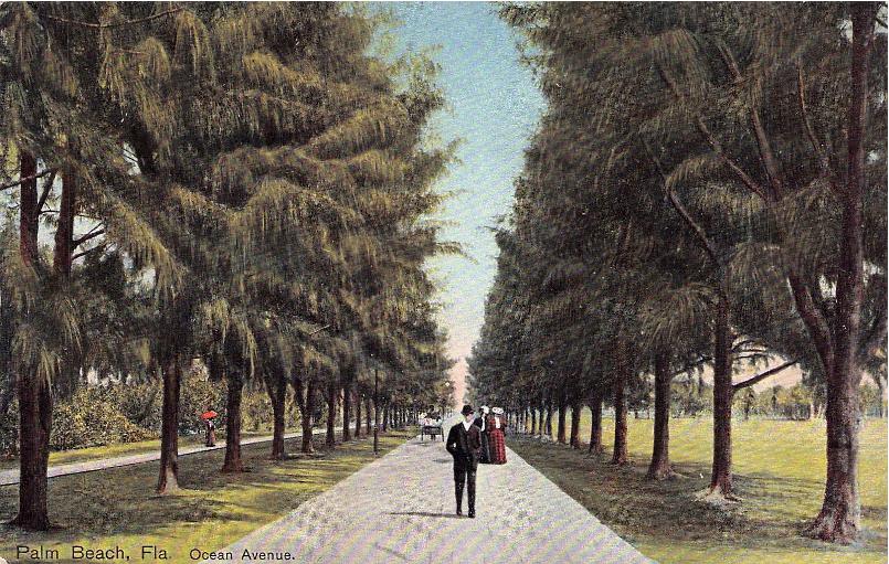 Palm Beach County, FL (57 items)