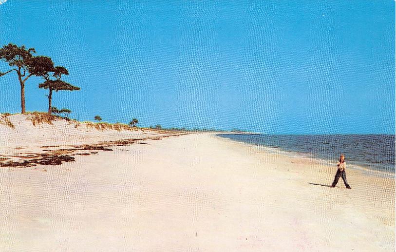 Bay County, FL (22 items)