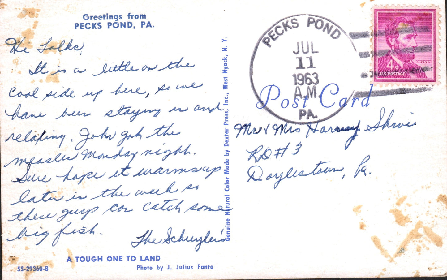 Pike County, PA (19 items)