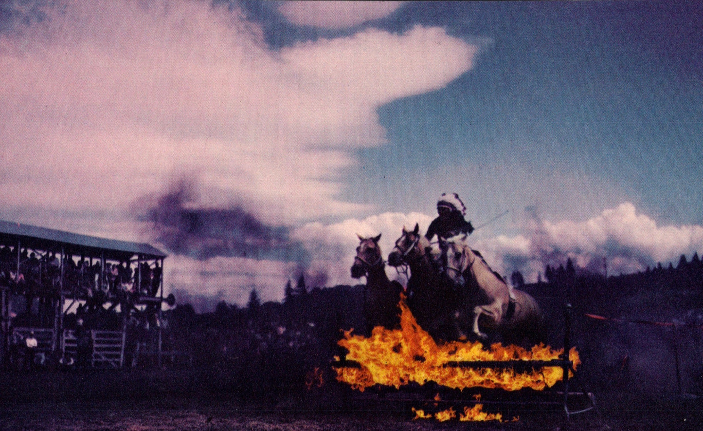 Umatilla County, OR (60 items)