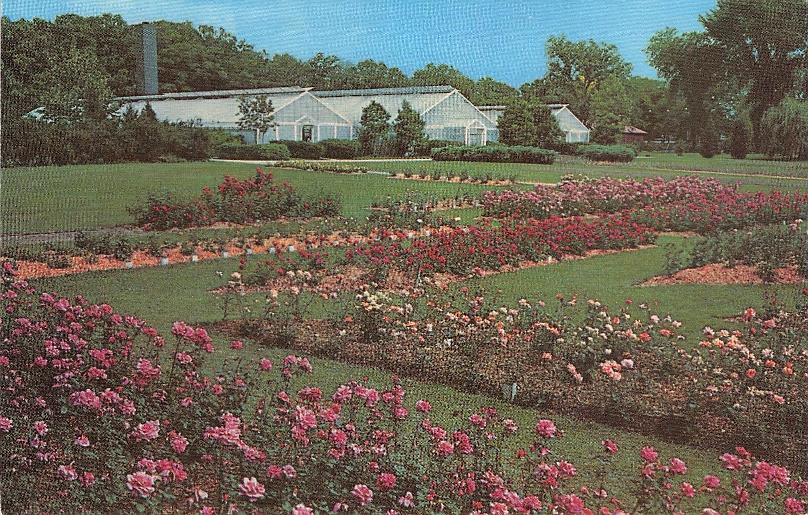 Peoria County, IL (65 items)