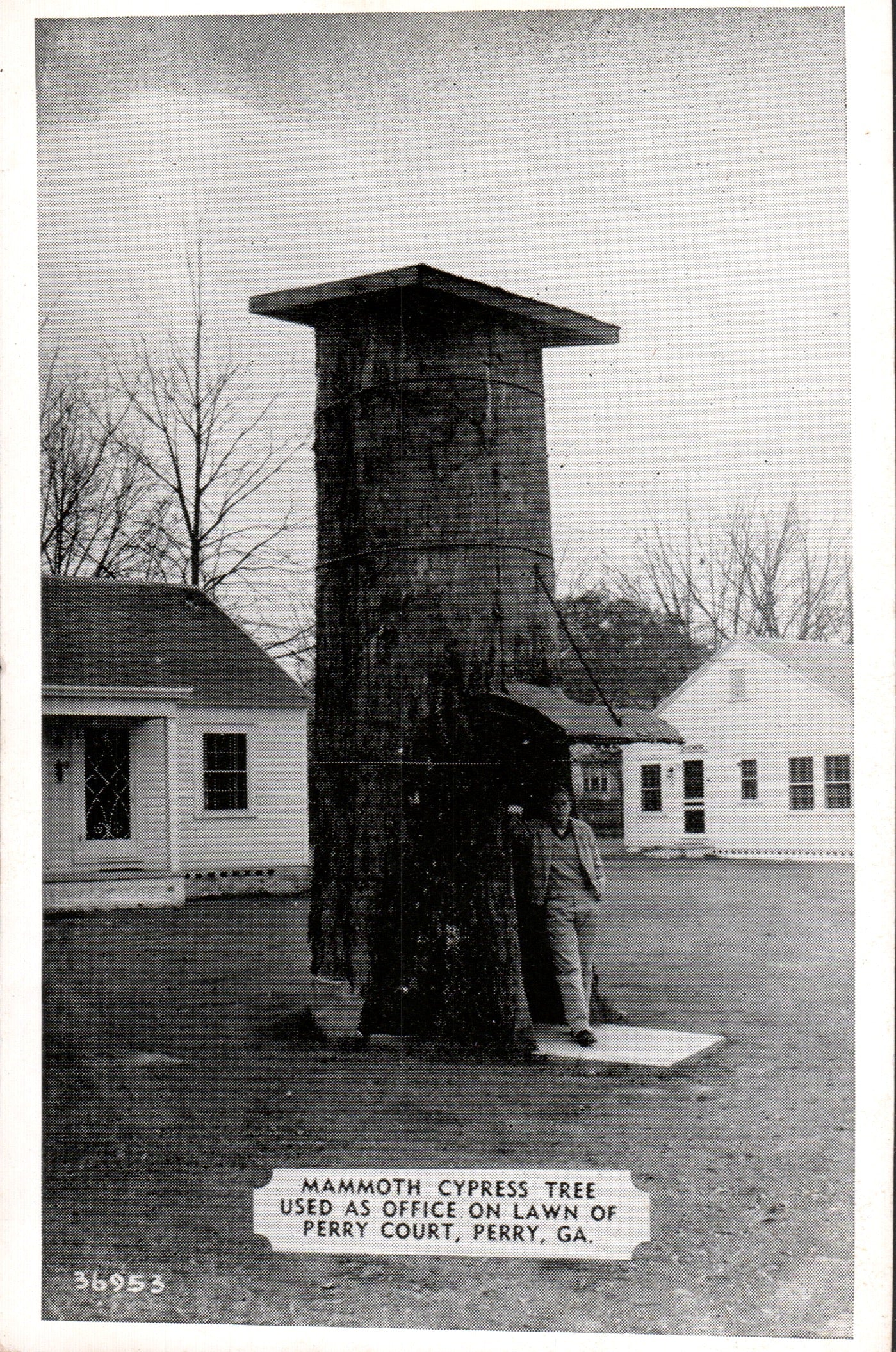 Houston County, GA (17 items)