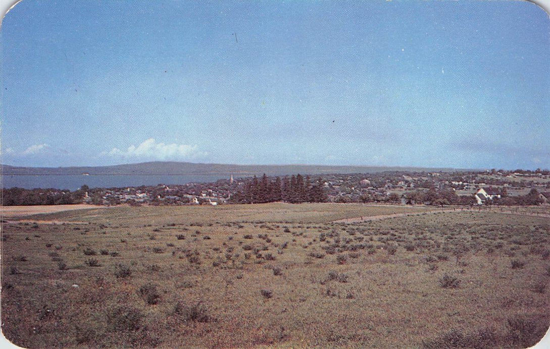 Emmet County, MI (15 items)