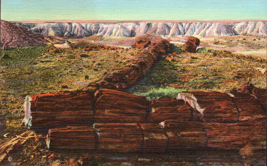 Apache County, AZ (21 items)