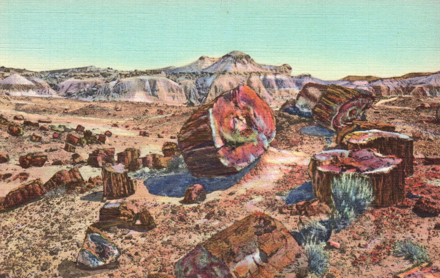 Apache County, AZ (21 items)