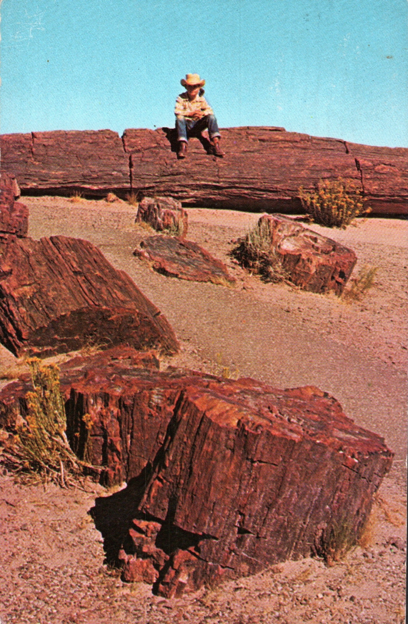 Apache County, AZ (21 items)