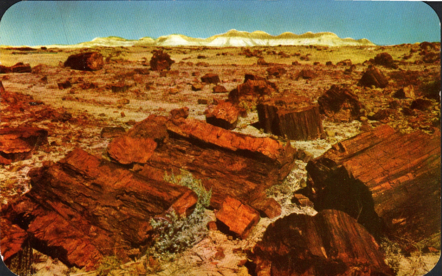 Apache County, AZ (21 items)