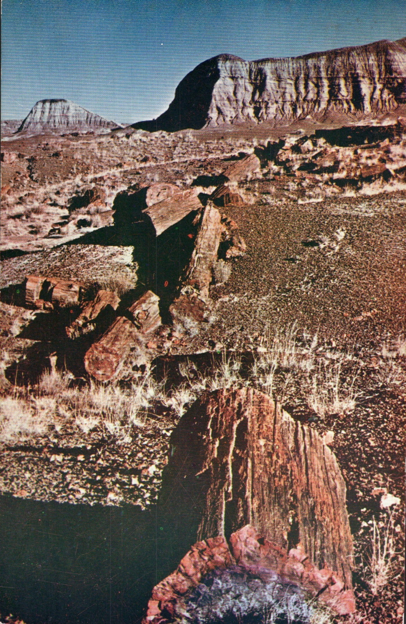 Apache County, AZ (21 items)