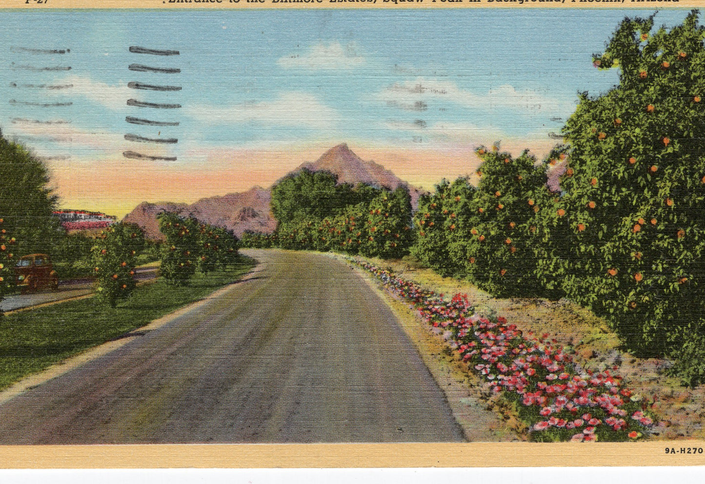 Maricopa County, AZ (50 items)