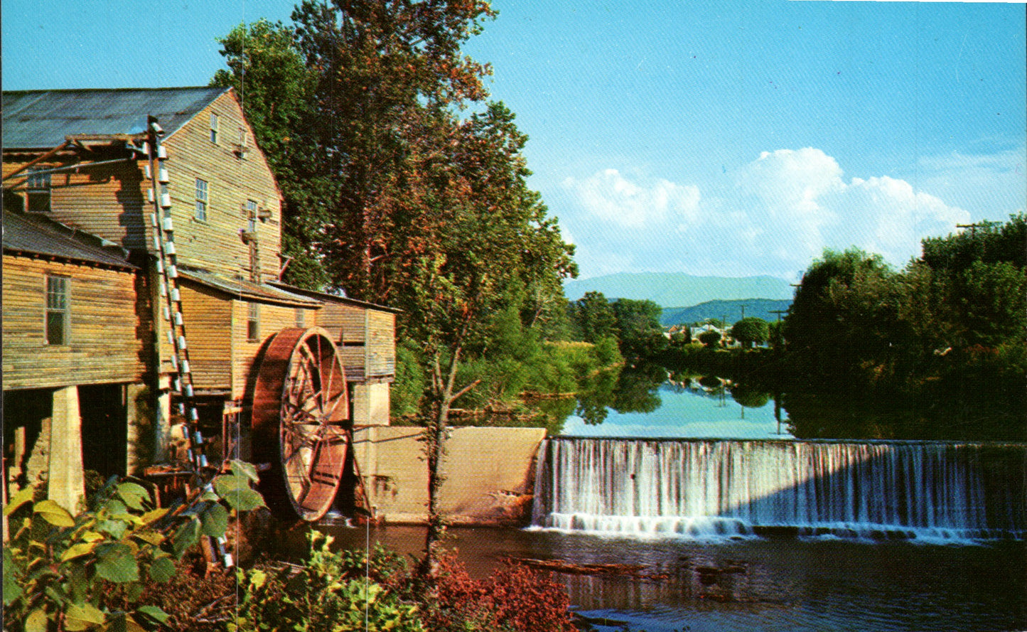 Sevier County, TN (19 items)
