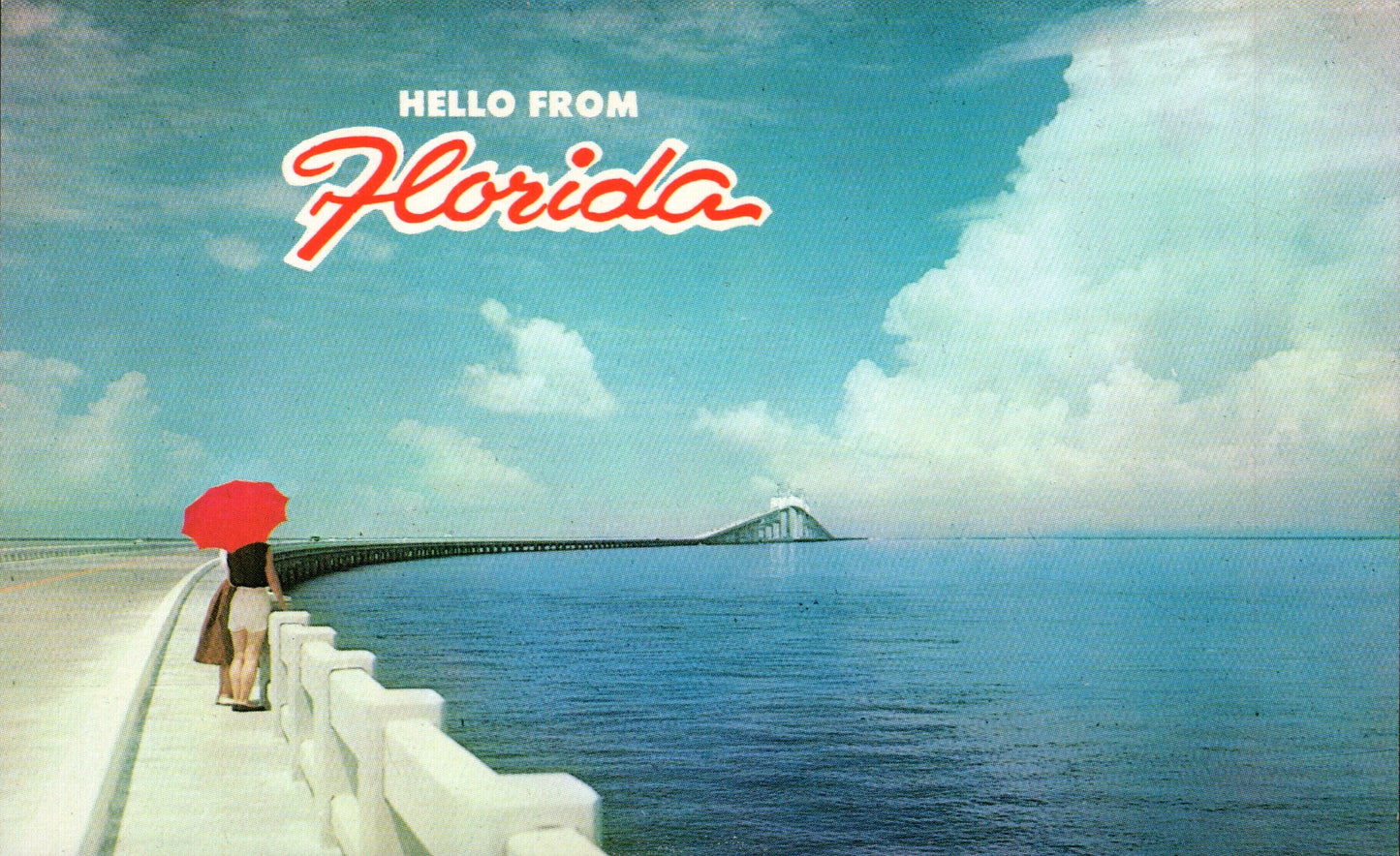 Pinellas County, FL (109 items)