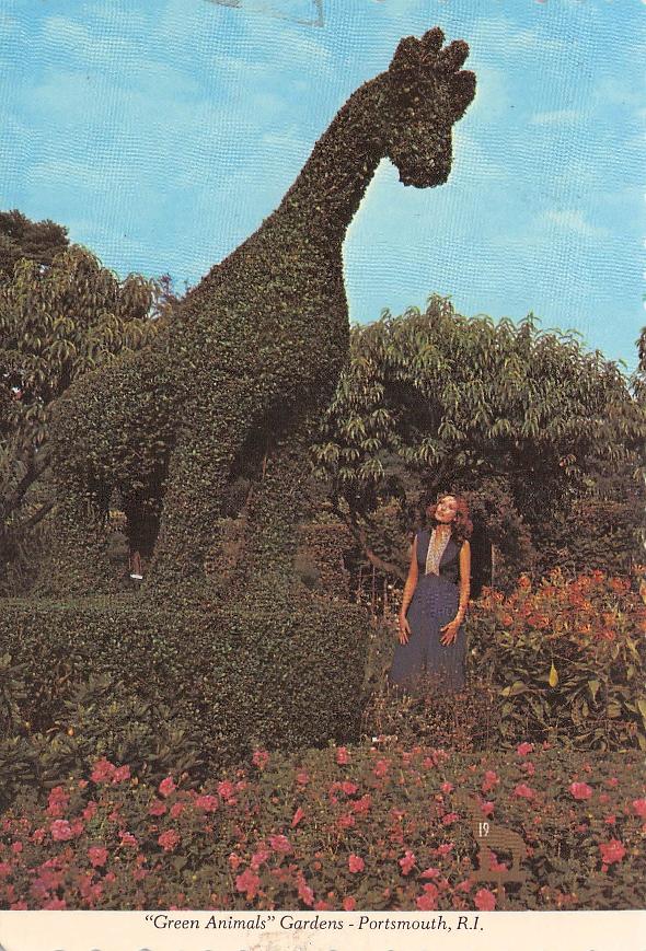 Newport County, RI (43 items)