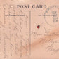 Albemarle County, VA (28 items)