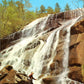 Rabun County, GA (19 items)