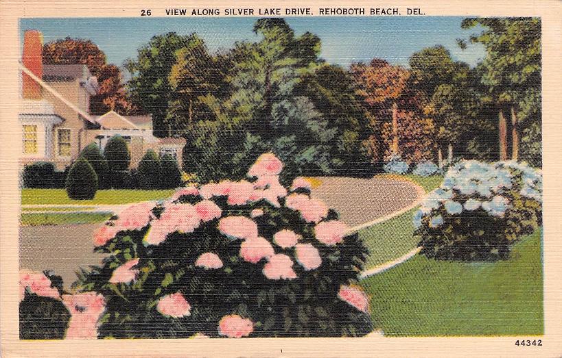 Sussex County, DE (31 items)