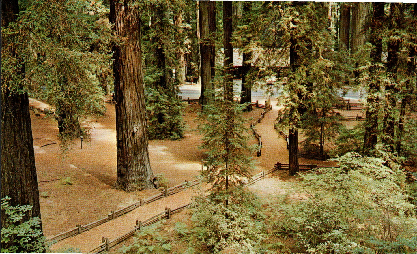 Humboldt County, CA (83 items)