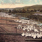 Warren County, VA (20 items)