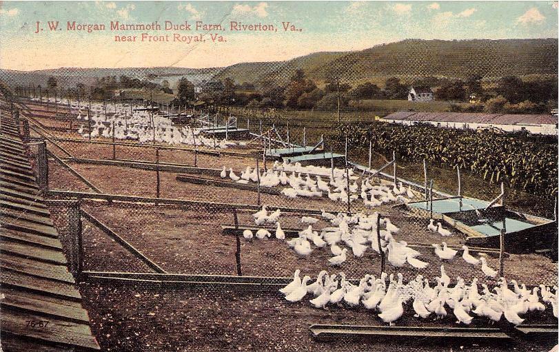 Warren County, VA (20 items)