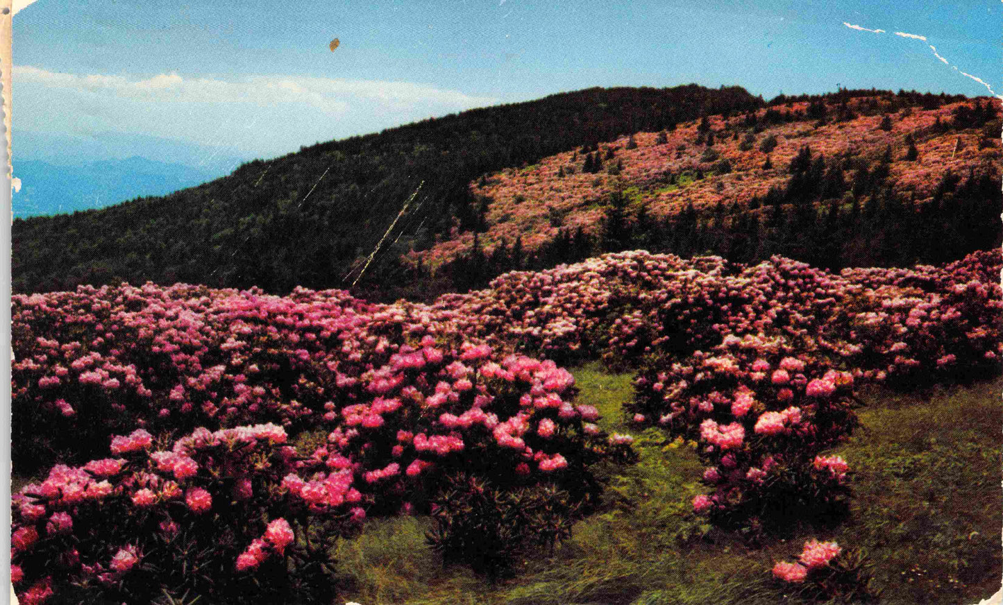 Mitchell County, NC (18 items)