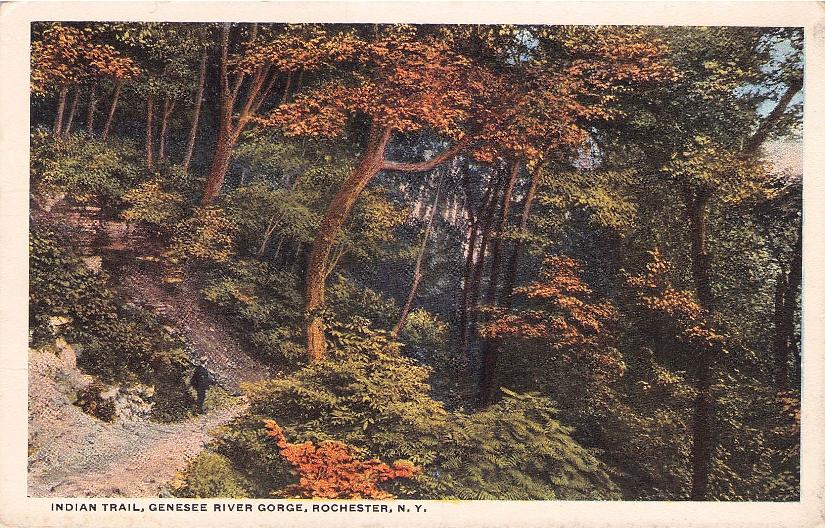 Monroe County, NY (67 items)