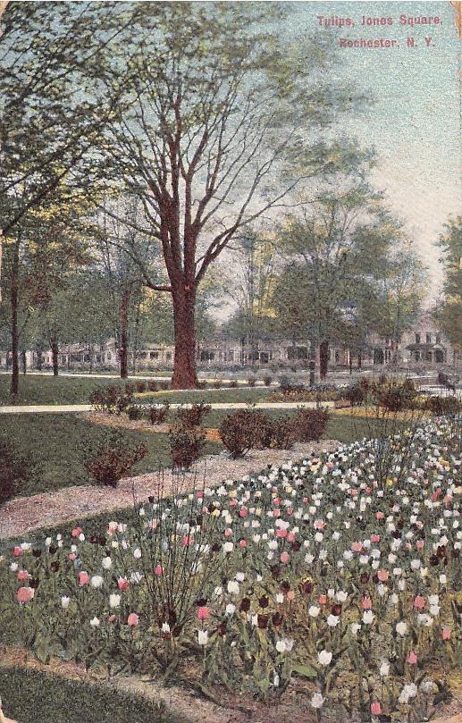 Monroe County, NY (67 items)