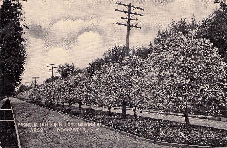 Monroe County, NY (67 items)