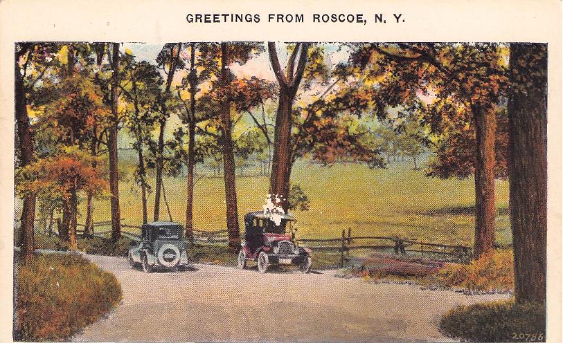 Sullivan County, NY (43 items)