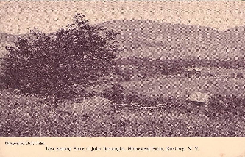 Delaware County, NY (41 items)