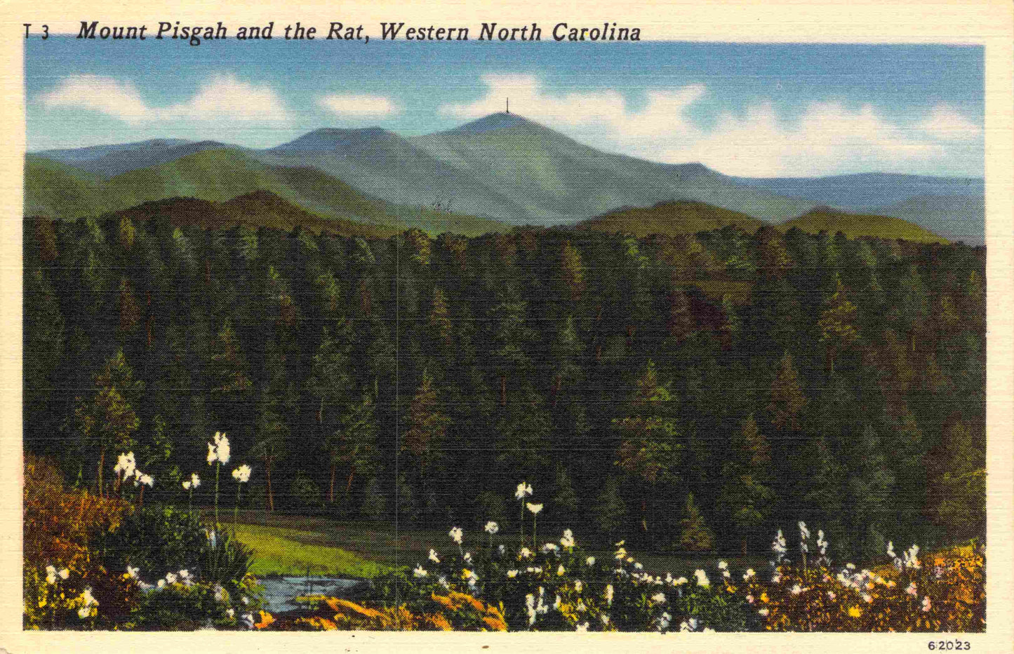 Rutherford County, NC (24 items)