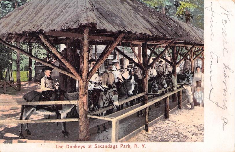 Fulton County, NY (39 items)