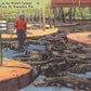 Saint Johns County, FL (65 items)