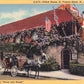 Saint Johns County, FL (65 items)