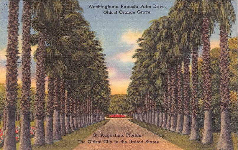 Saint Johns County, FL (65 items)