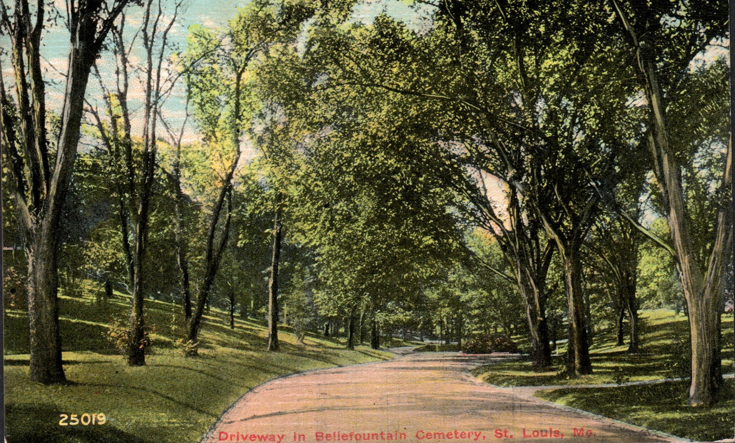 Saint Louis City, MO (195 items)