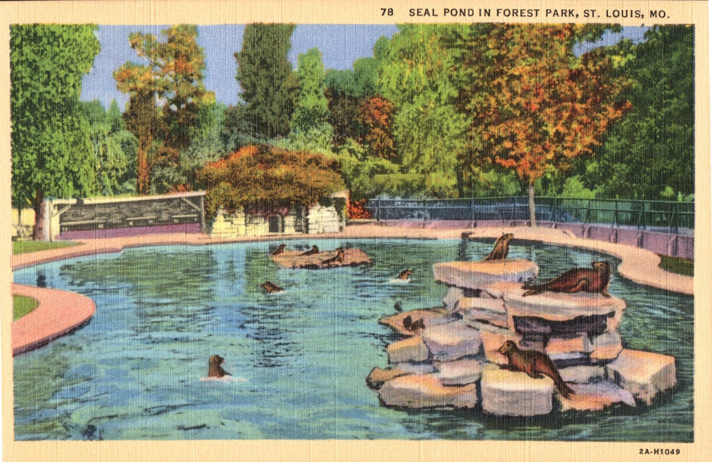 Saint Louis City, MO (195 items)