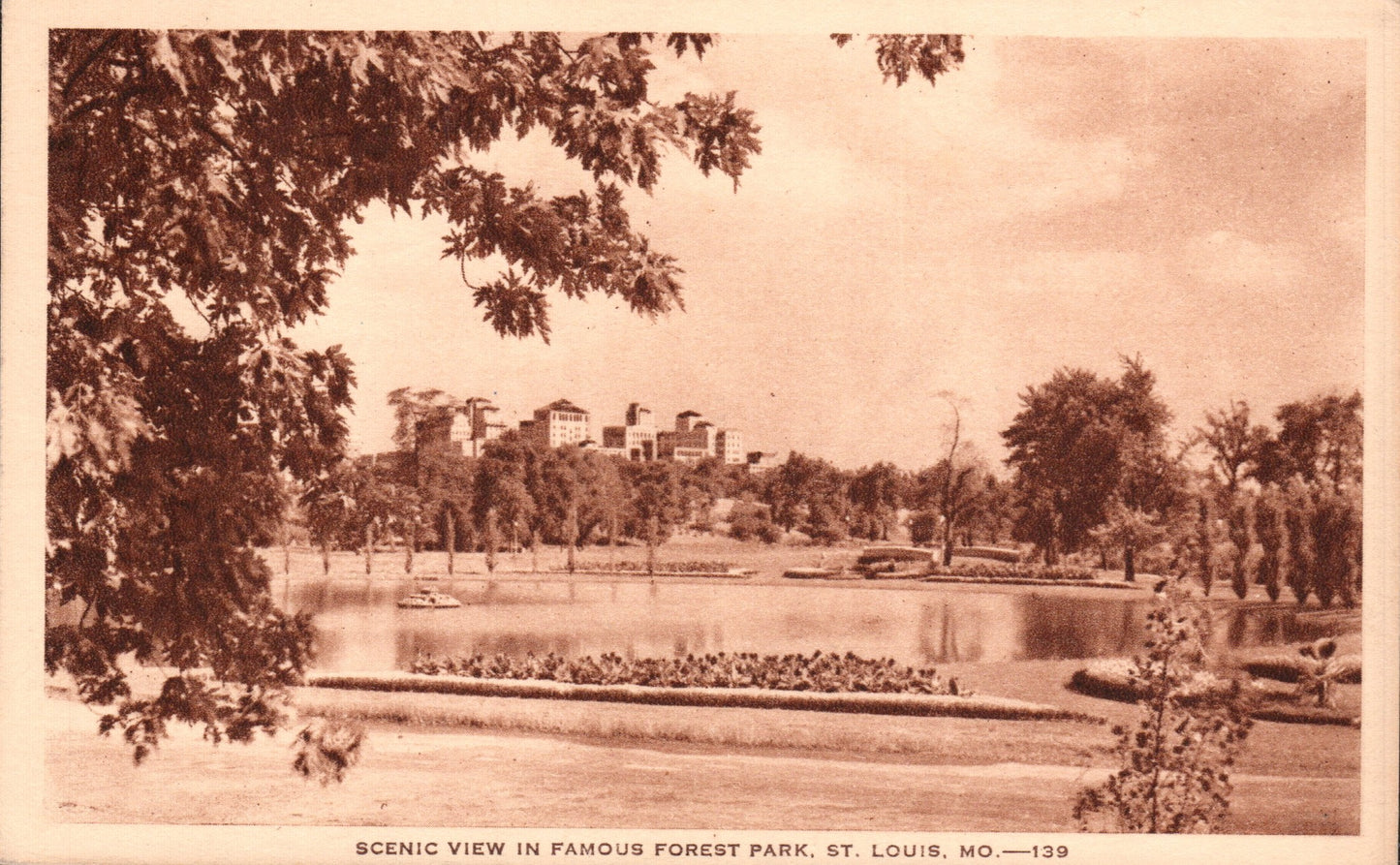 Saint Louis City, MO (195 items)